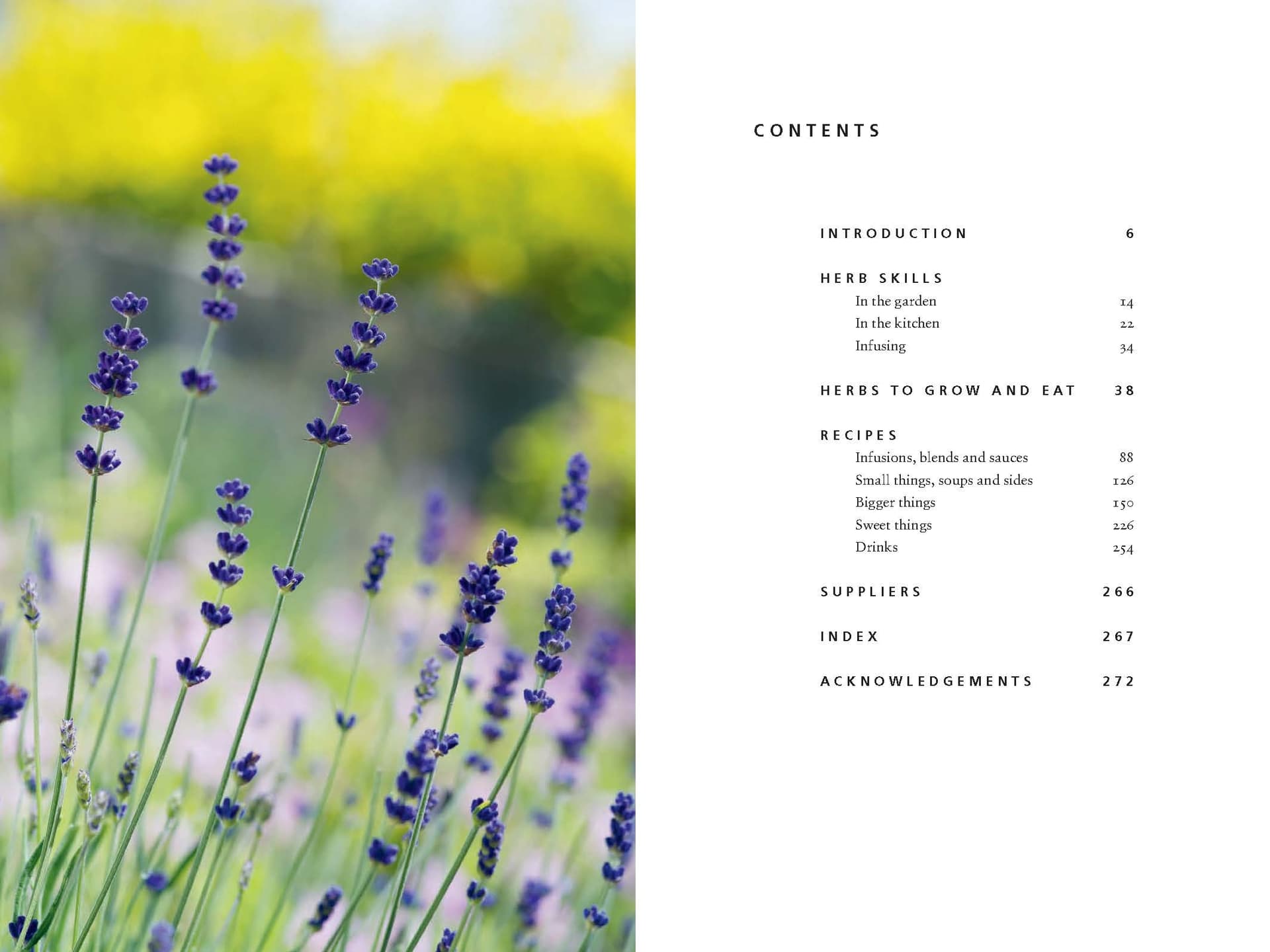 Herb: A Cook’s Companion