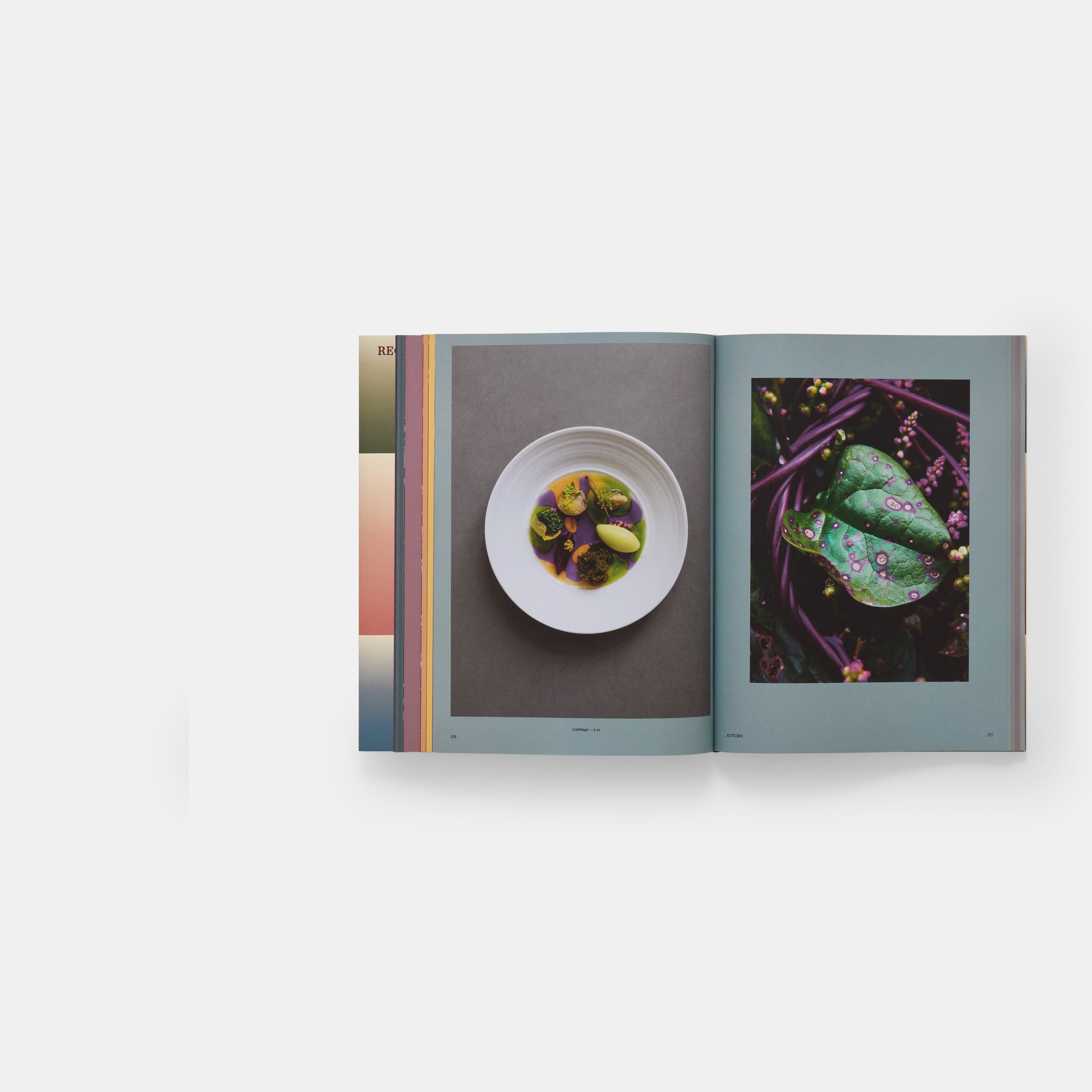 Beyond Peaks: The Cuisine of Schloss Schauenstein