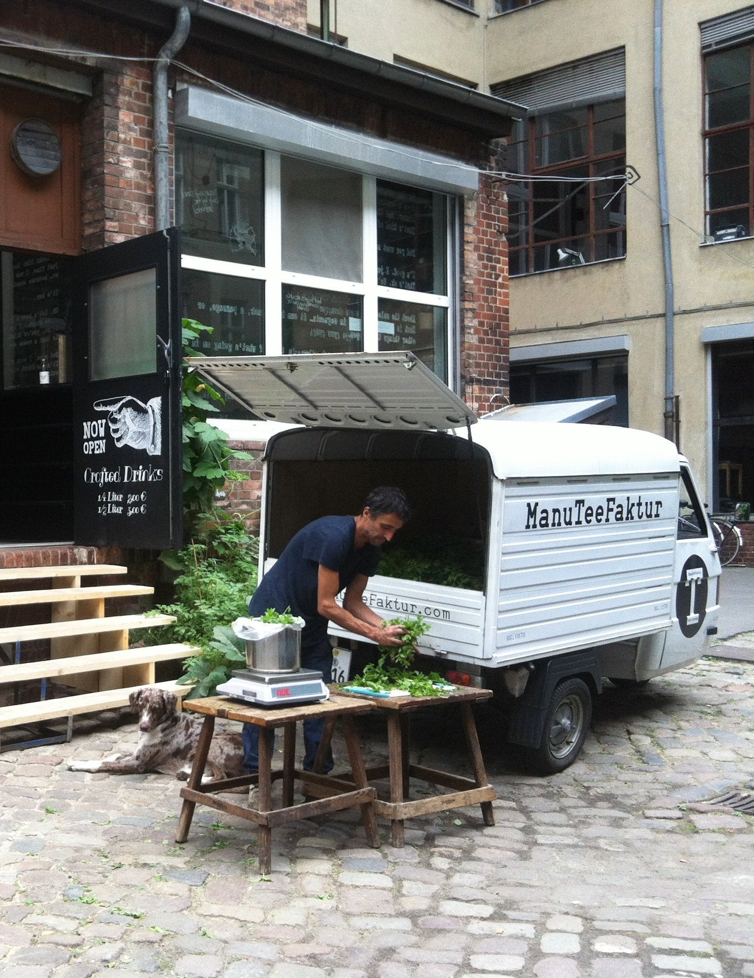 The Delicious: A Companion to New Food Culture
