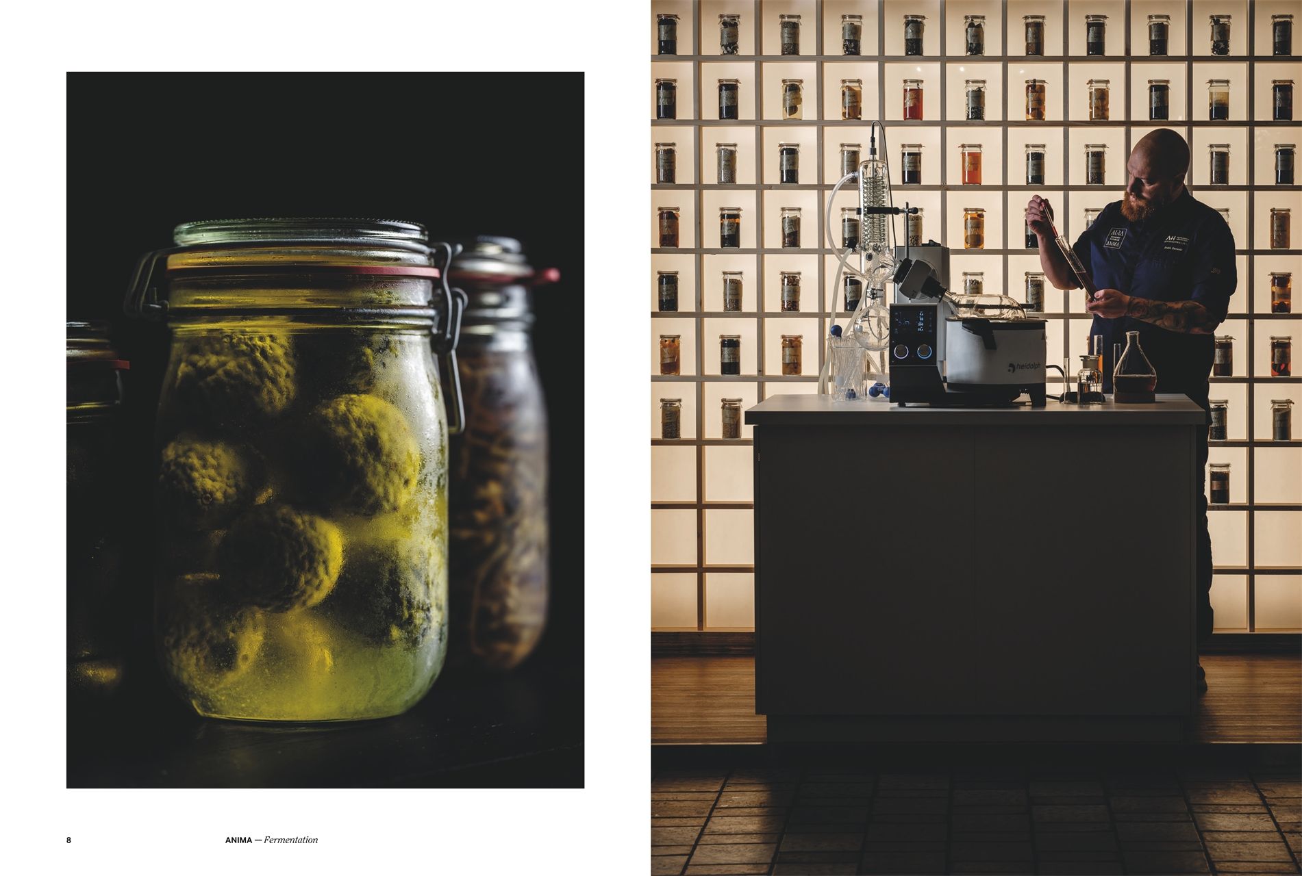AURA & ANIMA: Grenzenlose Heimat / Limitless Home