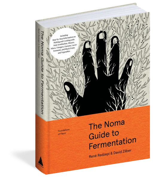 The NOMA Guide to Fermentation