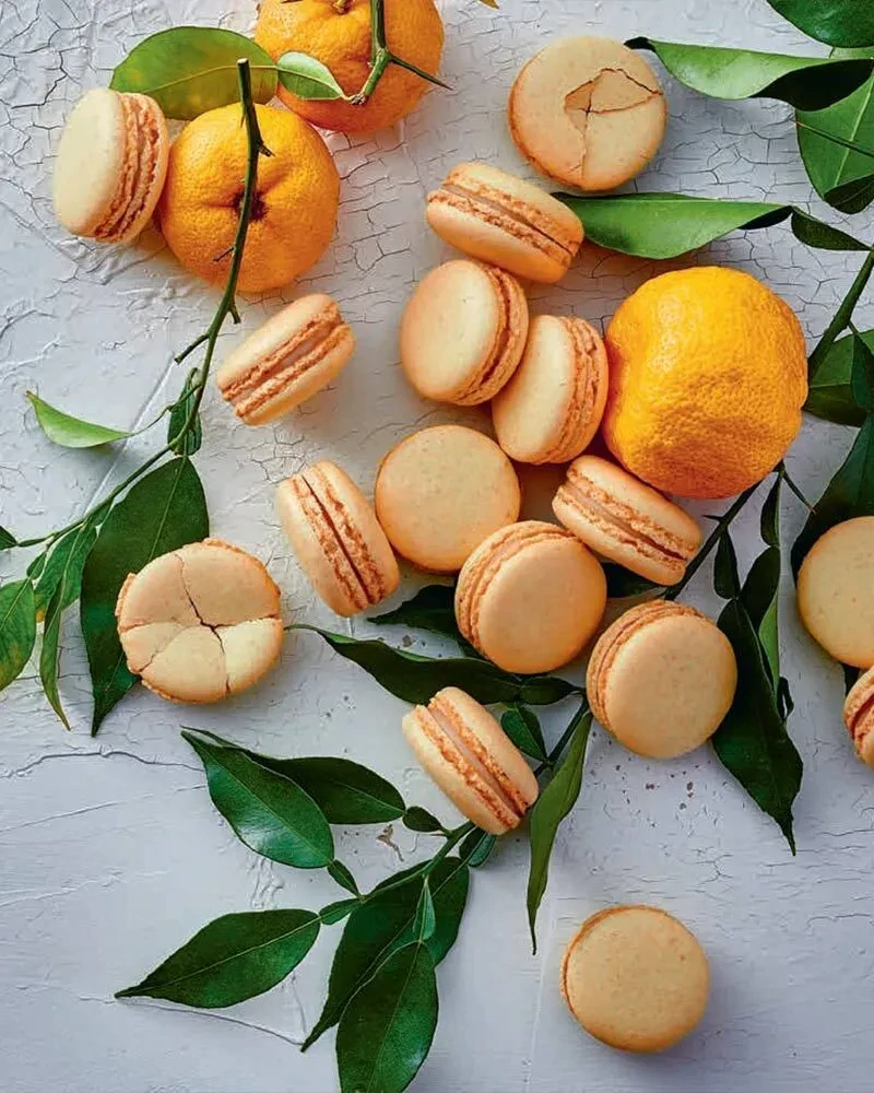 Pierre Hermé - Vegan Pastry